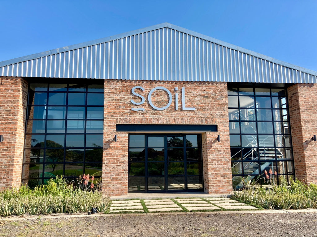 Bug Away - Organic Essential Oil Blend 10ml - KMT WAREHOUSE