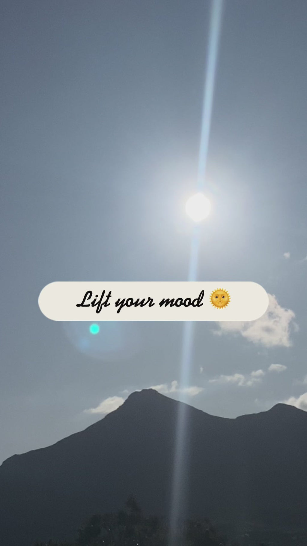 Bug Away - Organic Essential Oil Blend 10ml - KMT WAREHOUSE