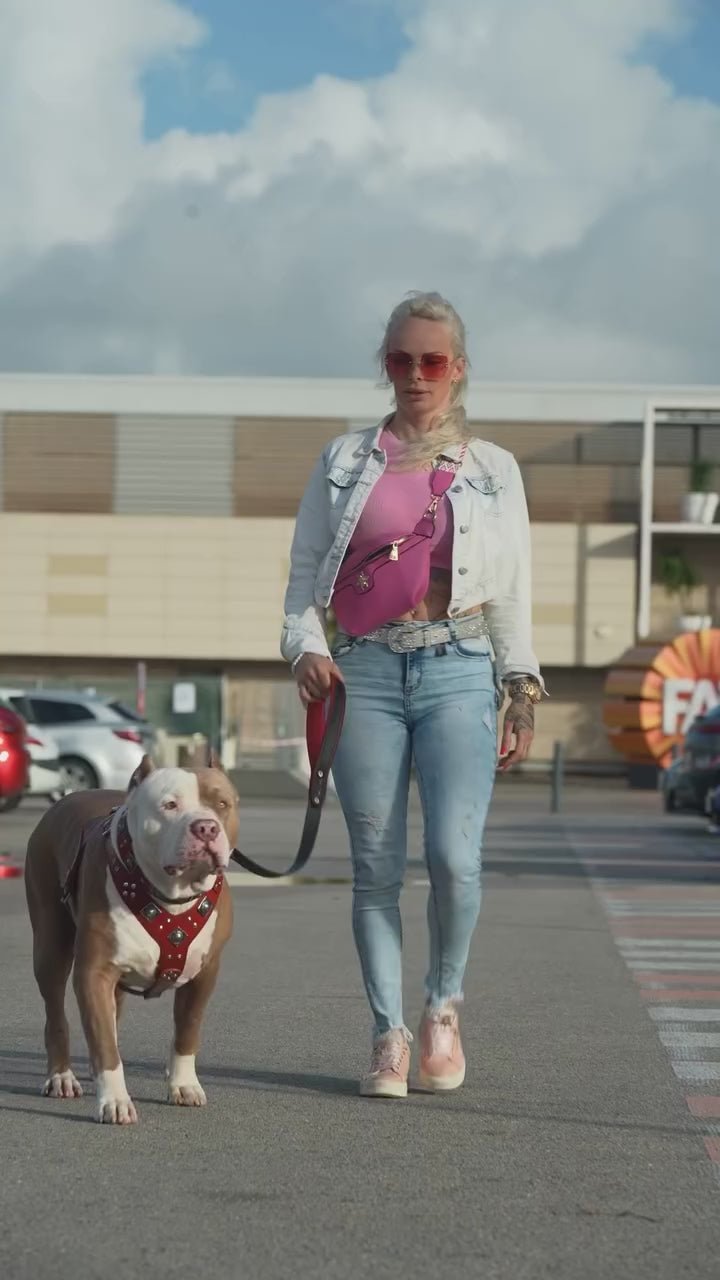 "EROS" BIG dog SET - Harness - collar - lead. Red - KMT WAREHOUSE