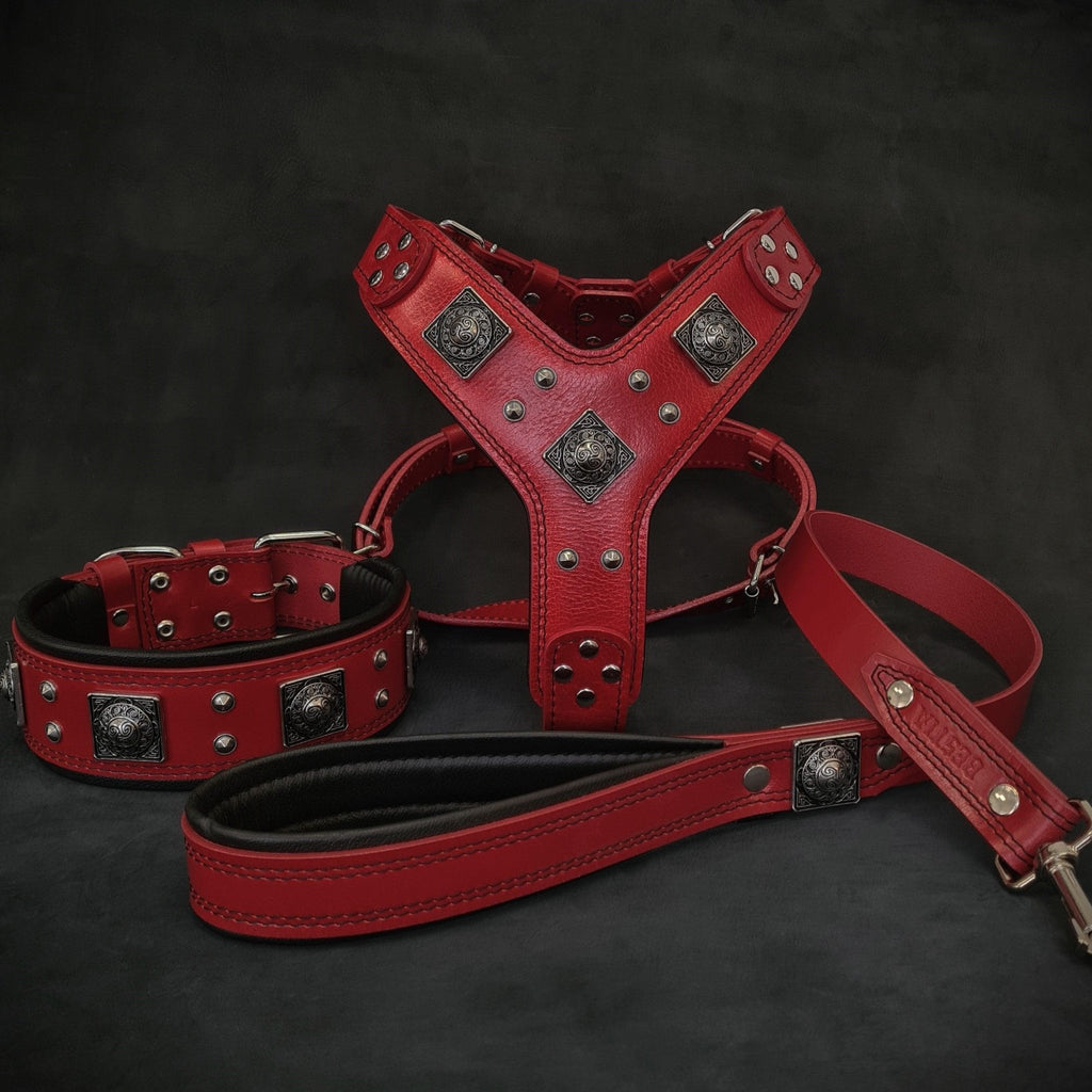 "EROS" BIG dog SET - Harness - collar - lead. Red - KMT WAREHOUSE