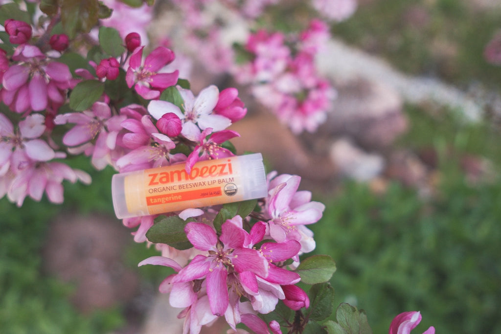 Tangerine 3 - Pack - KMT WAREHOUSE